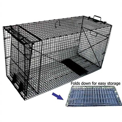 Easy-Up Giant Collapsible Cage Trap (50" x 24" x 19")