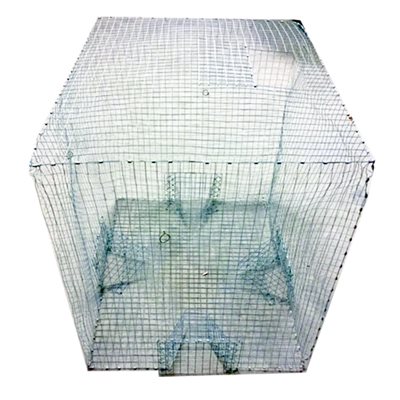 Extra Large Magpie/Pigeon Live Cage Trap