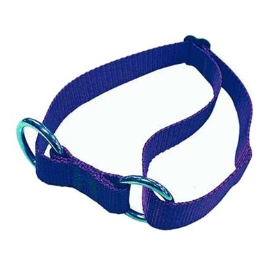 Adjustable Sled Dog Collar (X-Large)