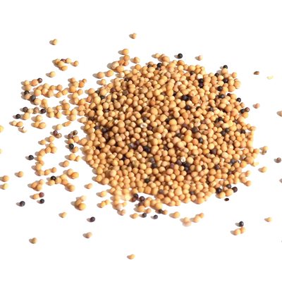 Mustard Seed - Whole (455 g)