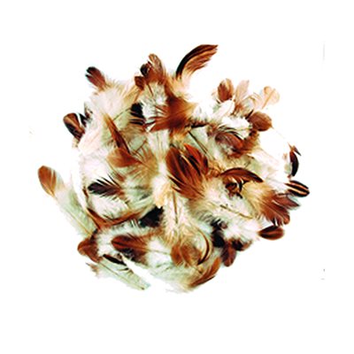 Natural Mini Feathers - Brown And White (3G)