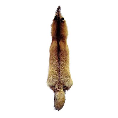 #1 Red Fox Fur