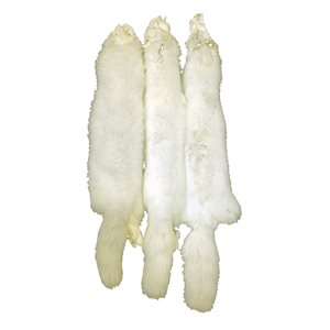 White Arctic Fox Fur