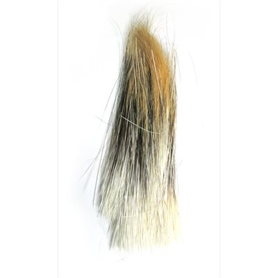 Porcupine Hair (7.5 - 8.5" Long)