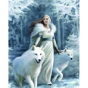 Paint By Numbers Kit - Gorgeous Lady With White Wolves