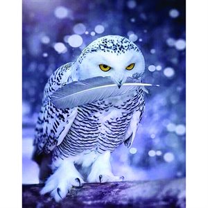 Paint By Numbers Kit - Stunning White Owl